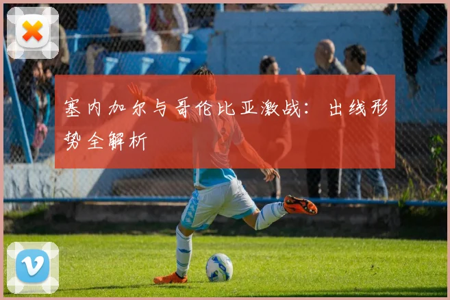 塞内加尔与哥伦比亚激战:出线形势全解析