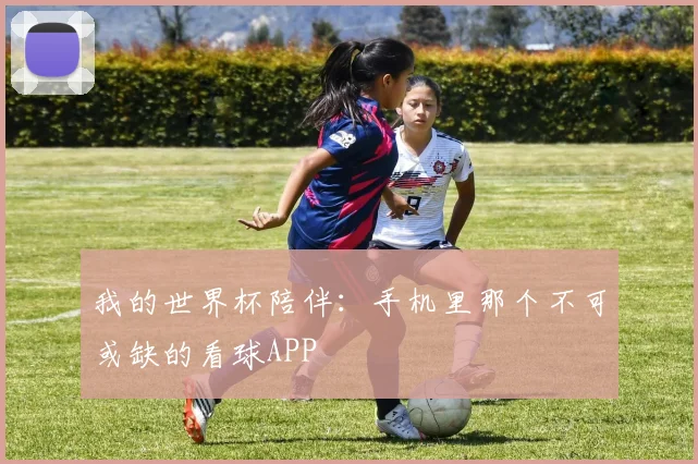 我的世界杯陪伴:手机里那个不可或缺的看球APP