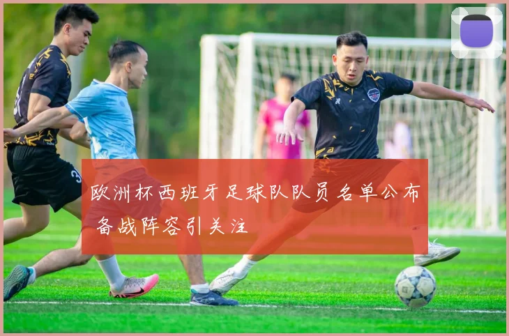 欧洲杯西班牙足球队队员名单公布 备战阵容引关注