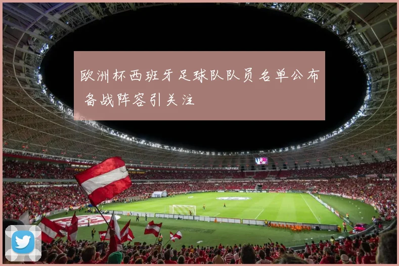 欧洲杯西班牙足球队队员名单公布 备战阵容引关注