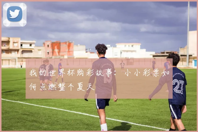 我的世界杯购彩故事:小小彩票如何点燃整个夏天