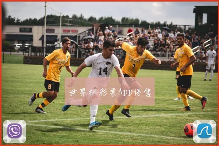 世界杯彩票App停售