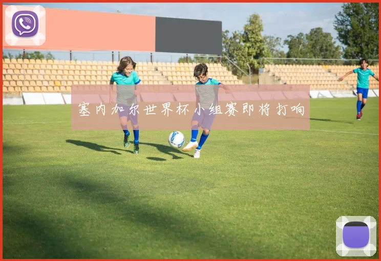 塞内加尔世界杯小组赛即将打响