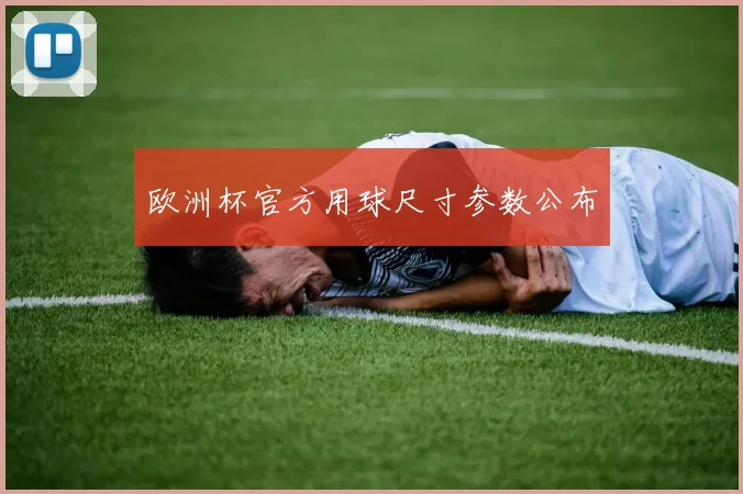 欧洲杯官方用球尺寸参数公布
