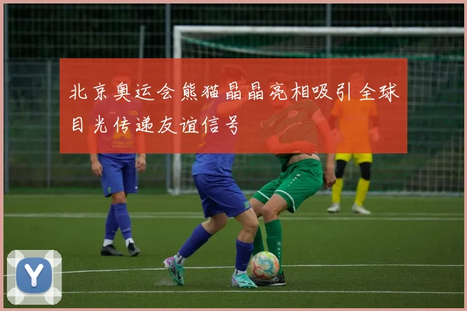 北京奥运会熊猫晶晶亮相吸引全球目光传递友谊信号