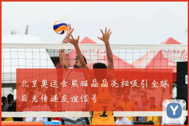 北京奥运会熊猫晶晶亮相吸引全球目光传递友谊信号